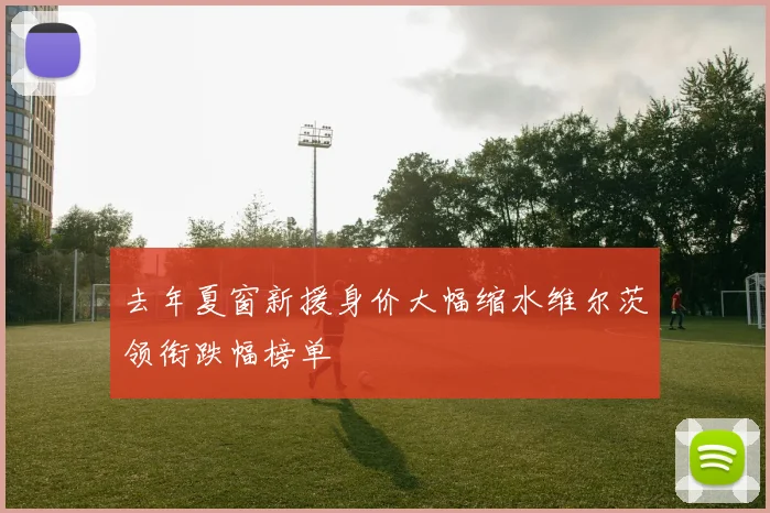 去年夏窗新援身价大幅缩水维尔茨领衔跌幅榜单